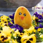 Načelnik Općine Peteranec u posjetu školama i vrtićima