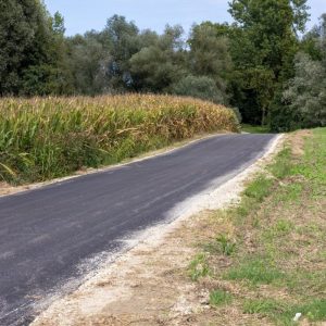 542761480_796911186012898_7354922695977365113_n