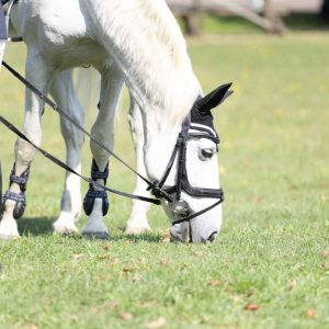 546844385_803189568718393_2772297008425908020_n