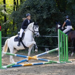 547087089_803189598718390_1537208704466261365_n