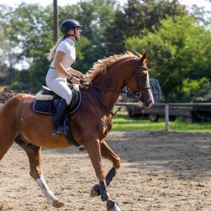 547178595_803189358718414_5977152321803632267_n