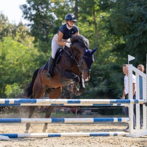 547186203_803189735385043_4088467805213920511_n