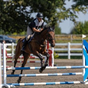 547753581_803189722051711_2380971558863508148_n