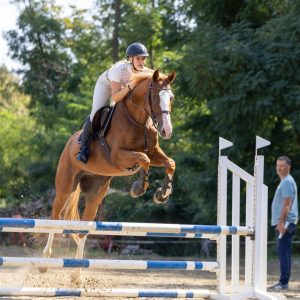 548417705_803189672051716_1866038886230472907_n