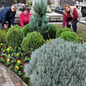 561072149_825634859807197_4775246137136249929_n