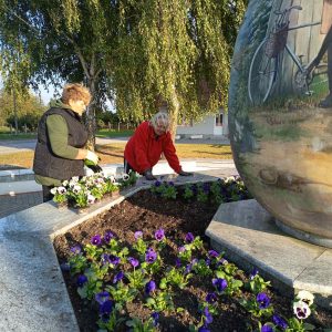 561156737_825634959807187_6052479324903501872_n