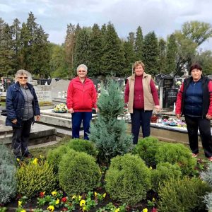 561354261_825634856473864_6371548202687559161_n