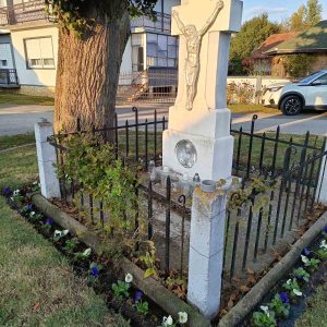 561604025_825635046473845_6660612647148371897_n