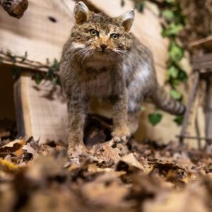 588314944_860876749616341_3857936805088038986_n