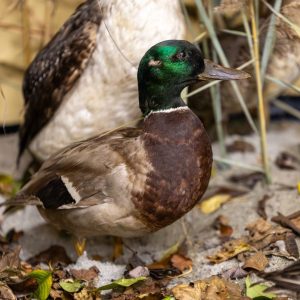 588518150_860877029616313_5306779493532090750_n