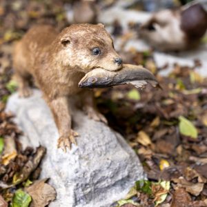 588783590_860876766283006_4547635288362584004_n