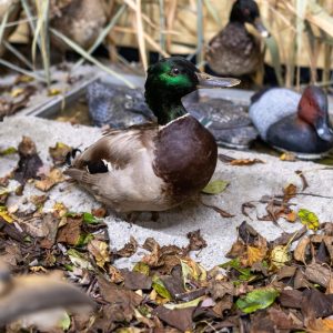 588868053_860876789616337_7408379572342039009_n